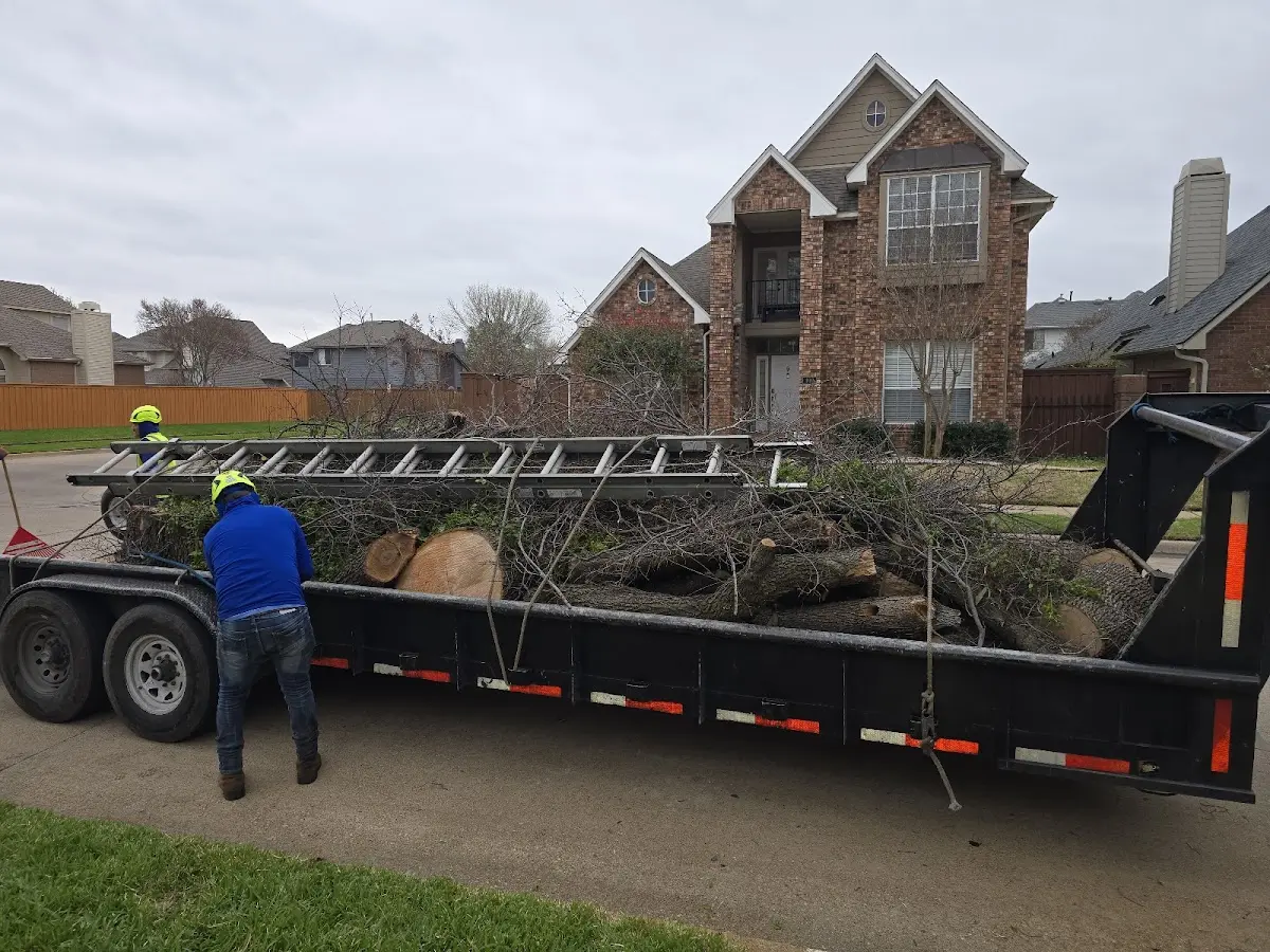 Expert Tree Removal with proper safety equipment in Waterloo